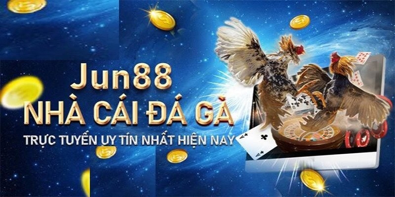 Jun88 - Đỉnh cao cá cược đá gà